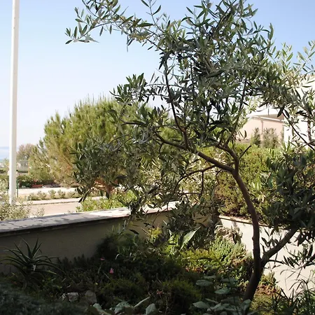 فندق Hotel More
